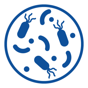 Bacterias